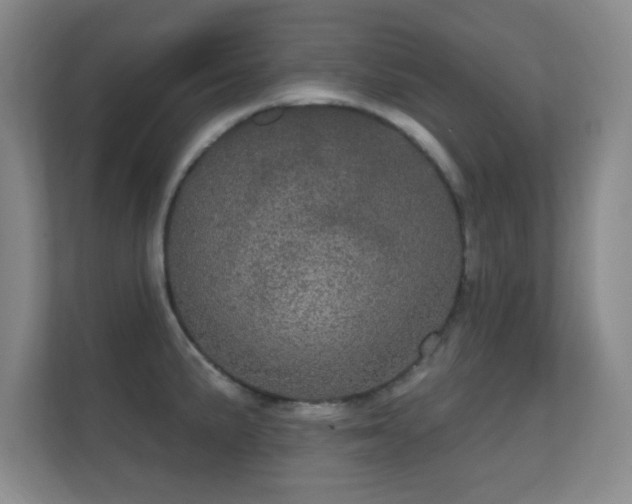 X0000112161191200908141228