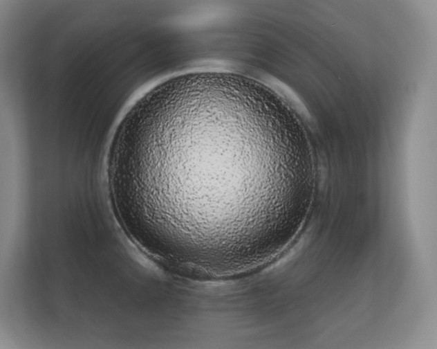 X0000112161192200908141228