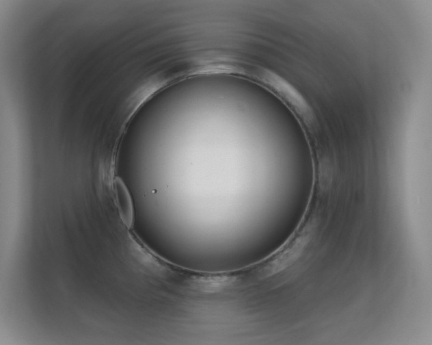 X0000112161193200908141228