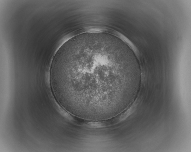 X0000112161194200908141228