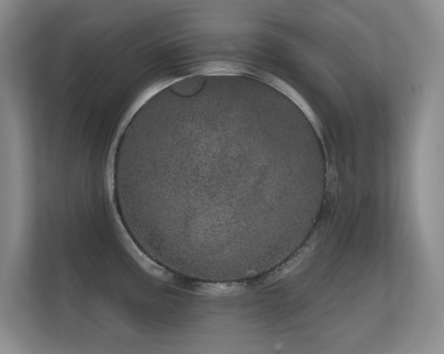 X0000112161195200908141228
