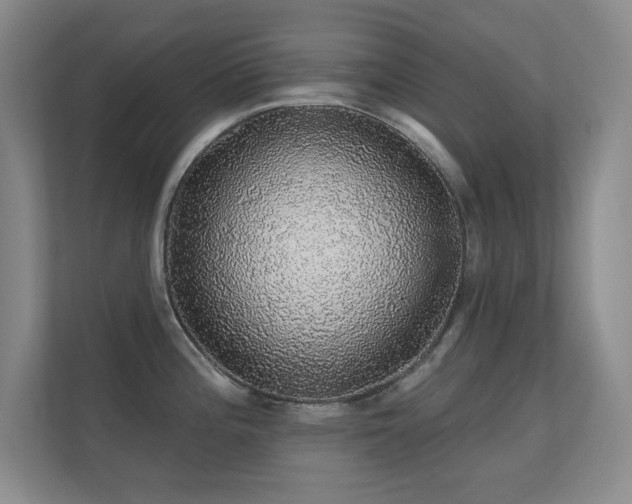 X0000112161196200908141228