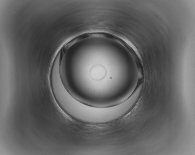 X0000112161197200908141228