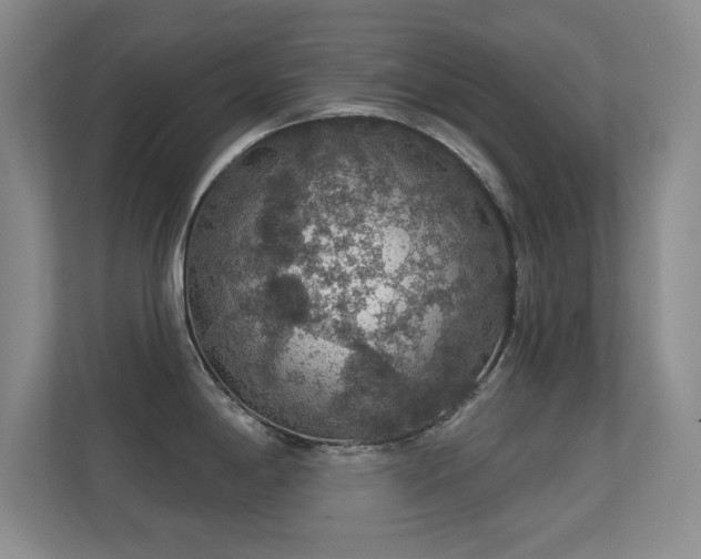 X0000112161198200908141228