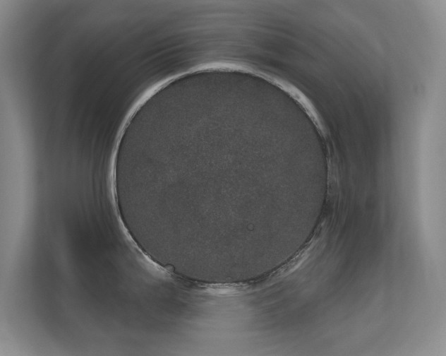 X0000112161199200908141228