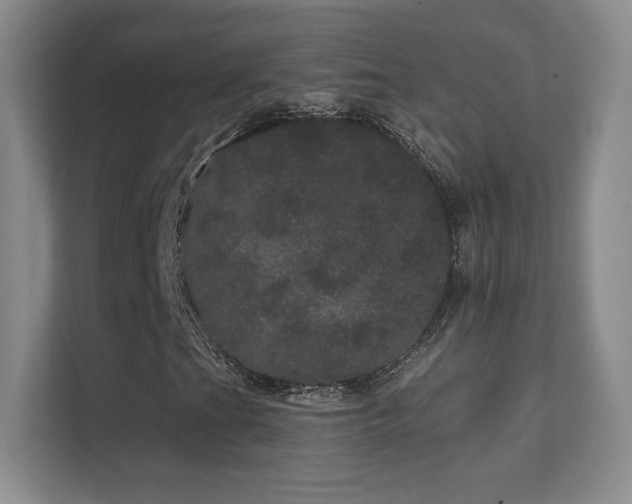 X0000112161201200908141227