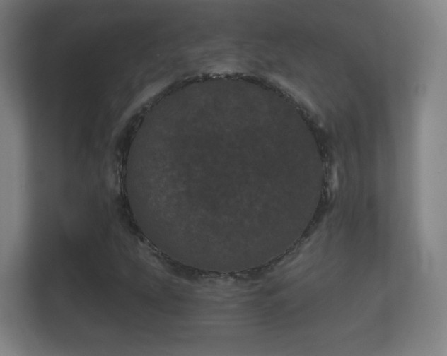 X0000112161207200908141228