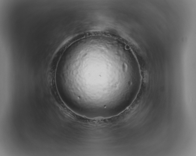 X0000112161208200908141228