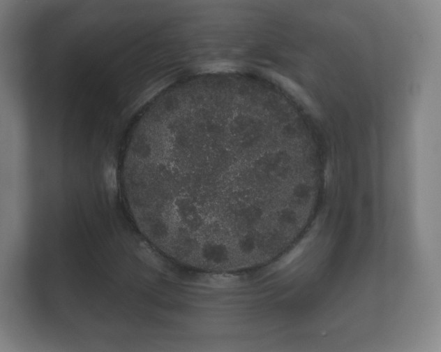 X0000112161209200908141228