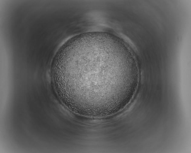X0000112161212200908141228