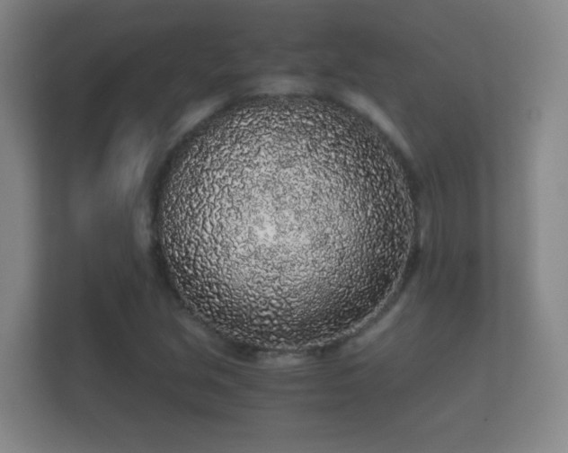 X0000112161213200908141228