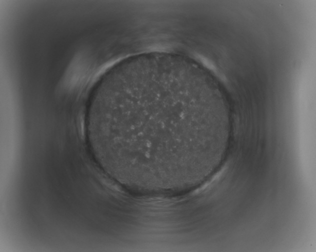 X0000112161214200908141228