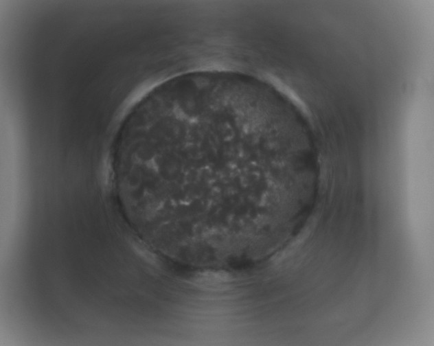 X0000112161215200908141228
