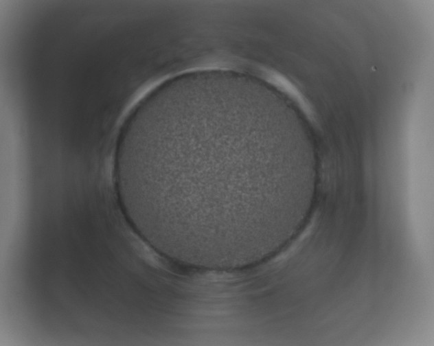X0000112161216200908141228
