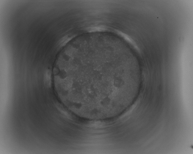 X0000112161217200908141228