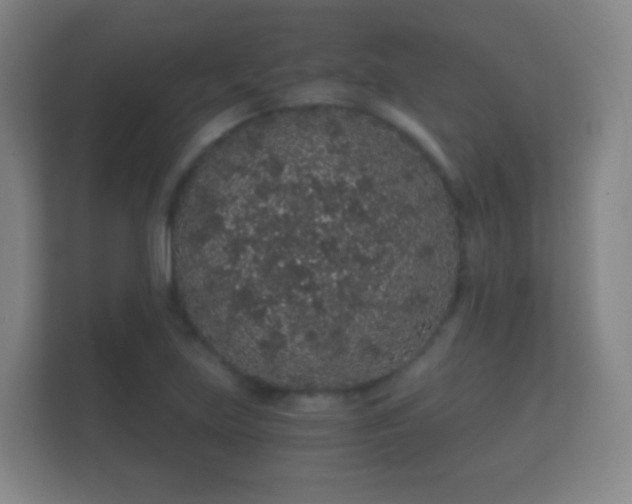 X0000112161219200908141228