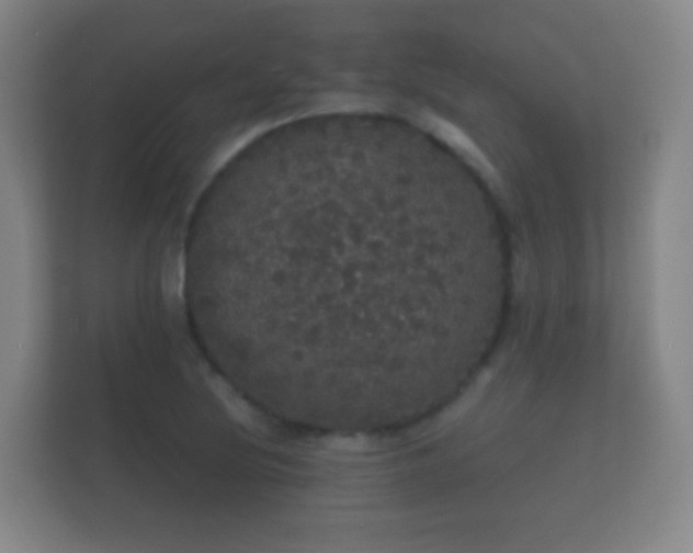 X0000112161220200908141228
