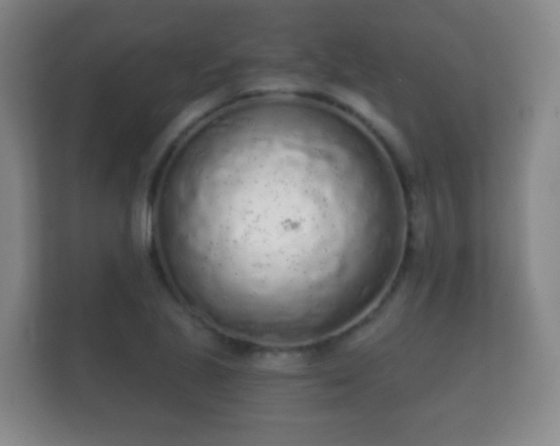 X0000112161221200908141228