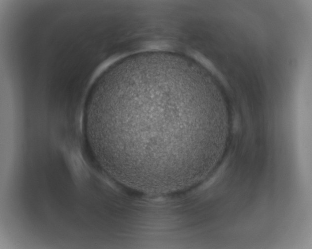 X0000112161222200908141228