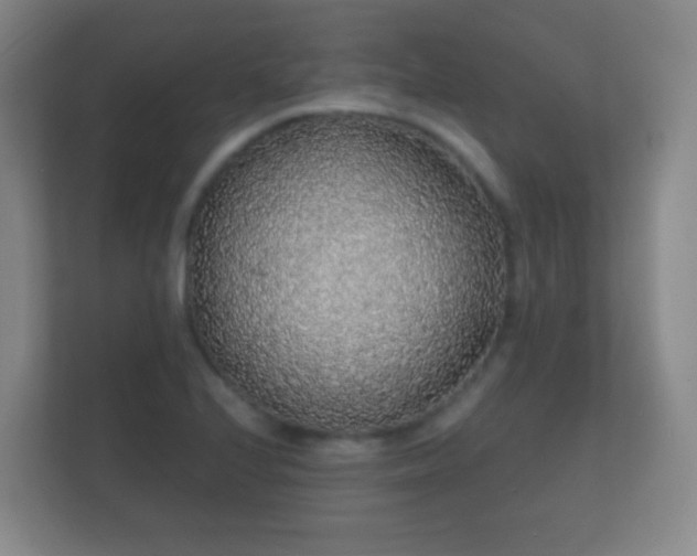 X0000112161224200908141228