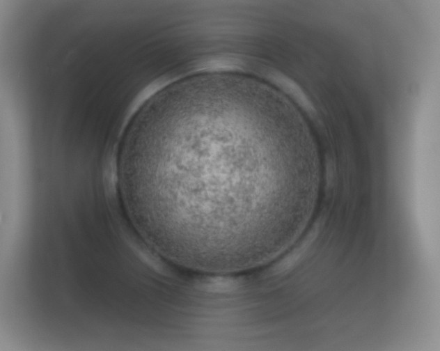 X0000112161226200908141228