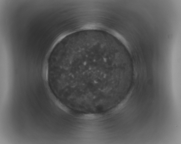 X0000112161227200908141228