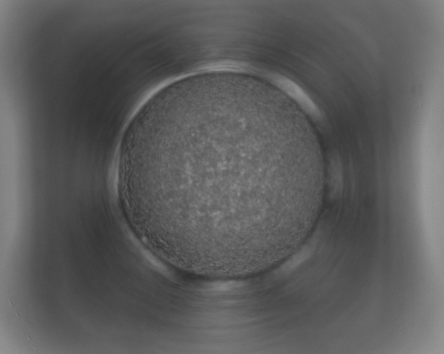 X0000112161228200908141228
