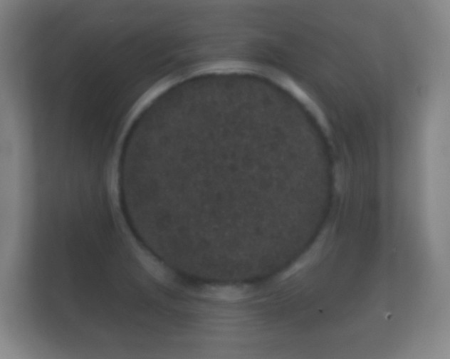X0000112161229200908141228