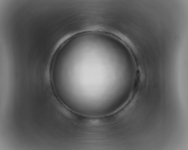 X0000112161230200908141228