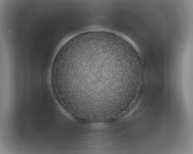 X0000112161231200908141228