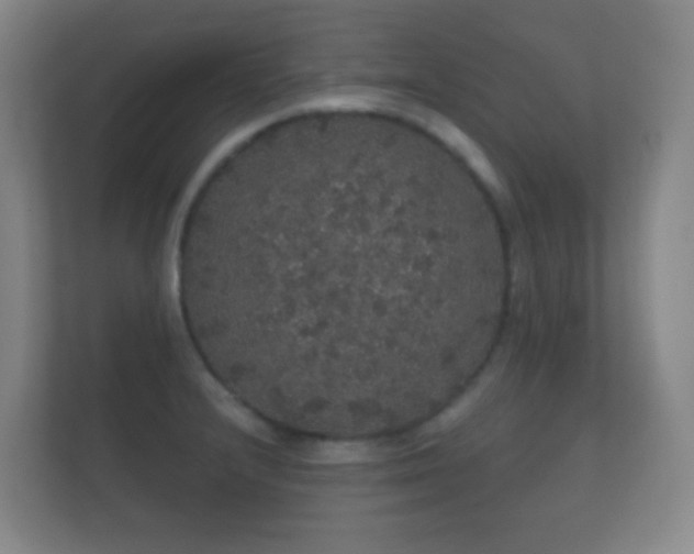 X0000112161232200908141228