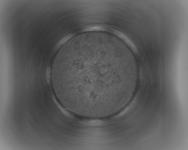 X0000112161233200908141228