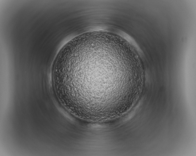 X0000112161234200908141228