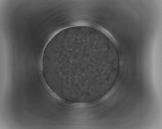 X0000112161236200908141228