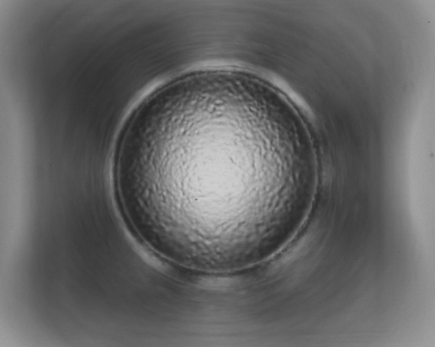 X0000112161237200908141228