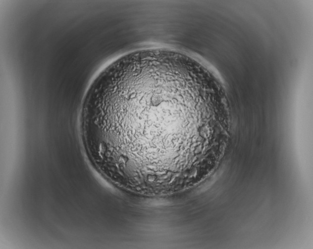 X0000112161239200908141228