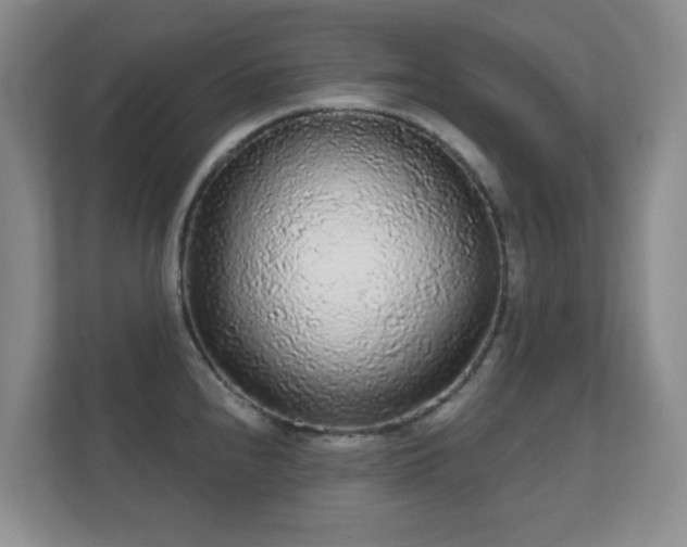 X0000112161240200908141228