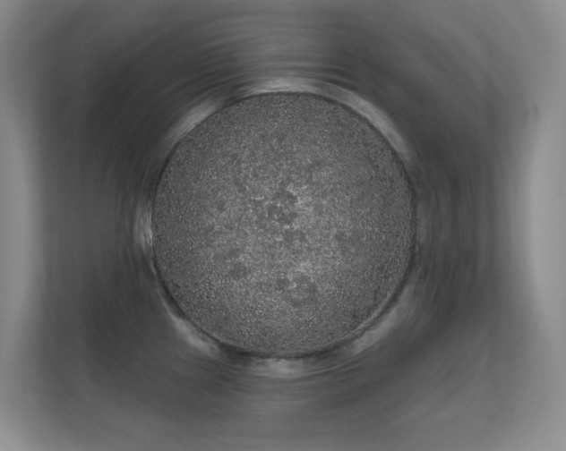 X0000112161241200908141228