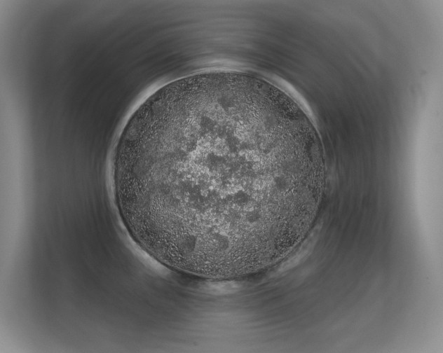 X0000112161243200908141228