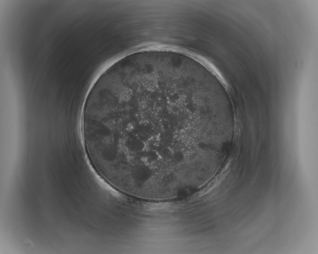 X0000112161247200908141228