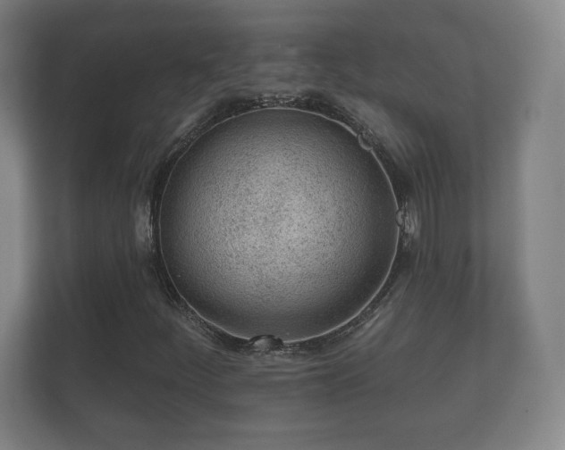 X0000112161252200908141227