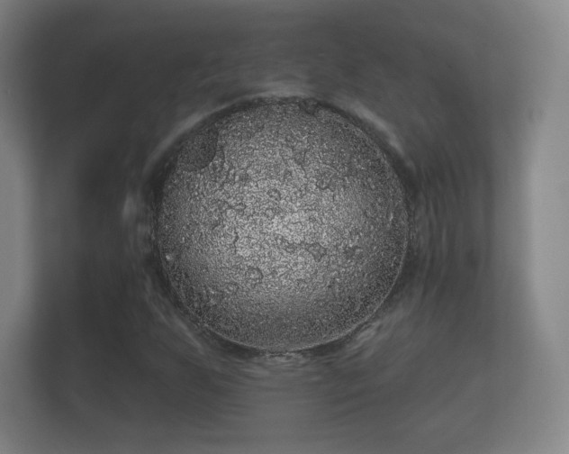 X0000112161255200908141227