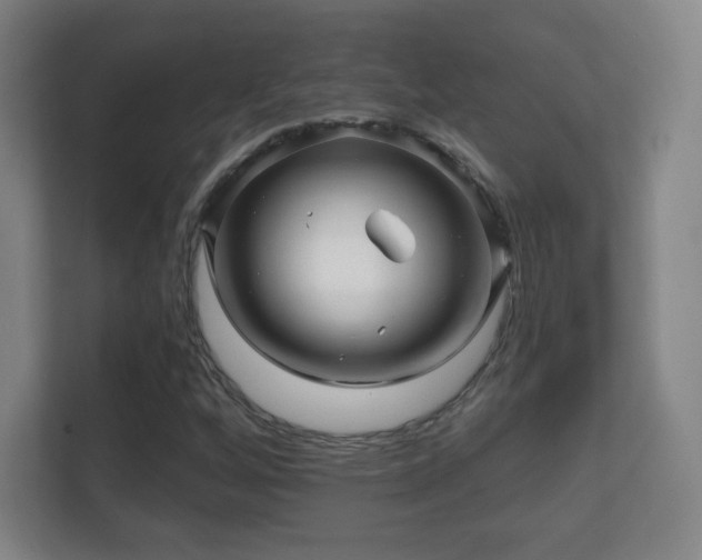 X0000112161256200908141227