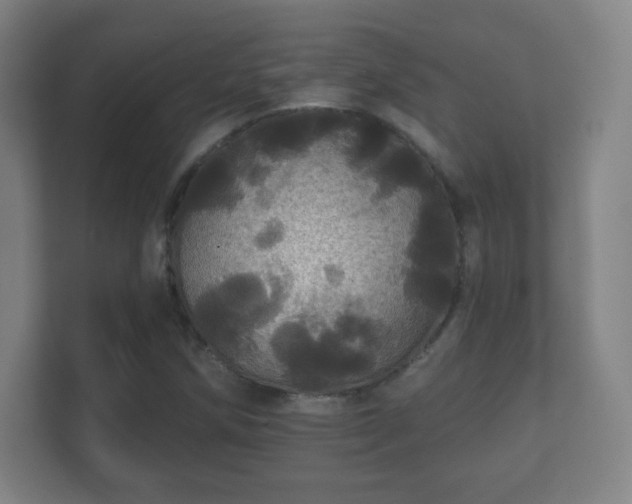 X0000112161258200908141227