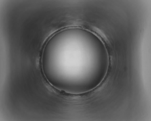 X0000112161260200908141227