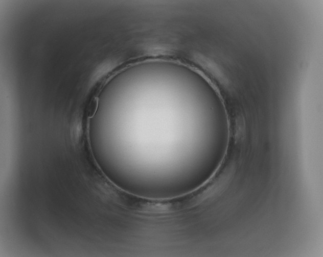 X0000112161261200908141227