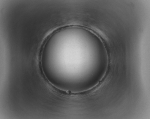 X0000112161264200908141227