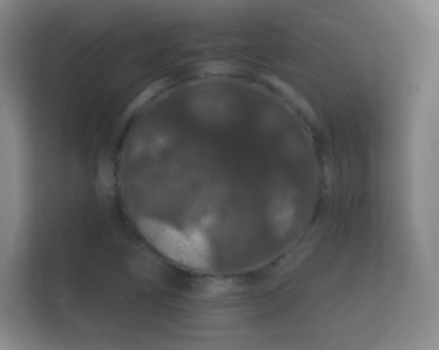 X0000112161266200908141227