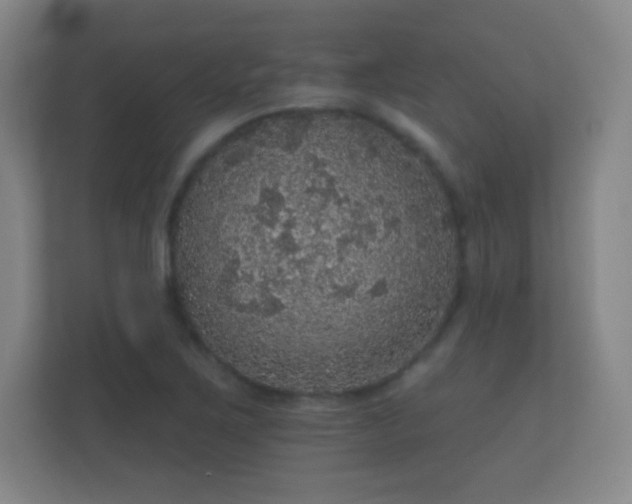 X0000112161267200908141227