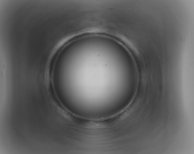 X0000112161270200908141227